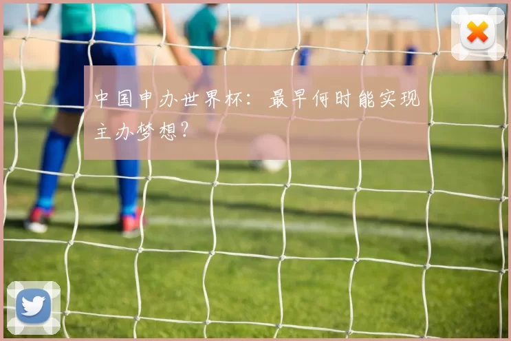 中国申办世界杯：最早何时能实现主办梦想？