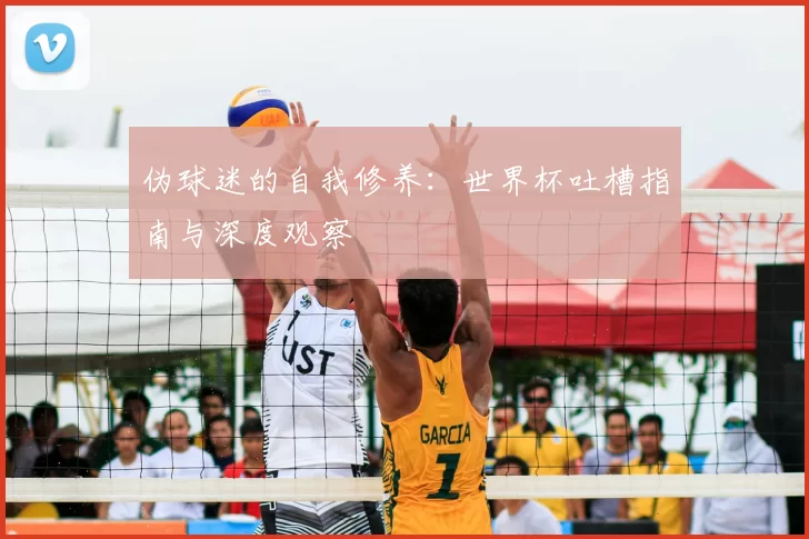 伪球迷的自我修养:世界杯吐槽指南与深度观察