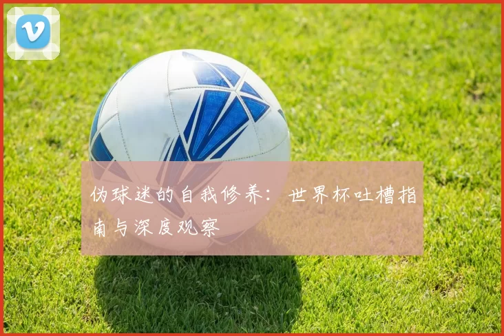 伪球迷的自我修养:世界杯吐槽指南与深度观察