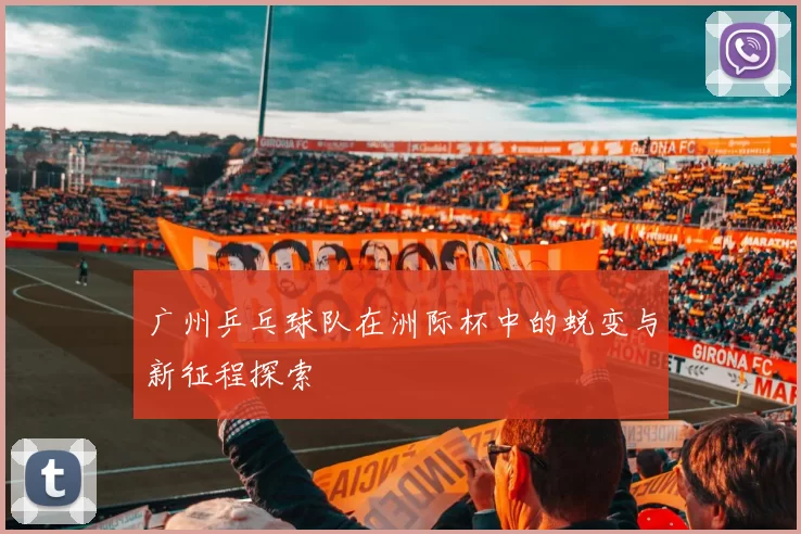 广州乒乓球队在洲际杯中的蜕变与新征程探索