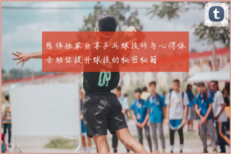 陈伟独家分享乒乓球技巧与心得体会助你提升球技的秘密秘籍