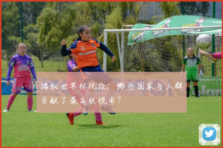 揭秘世界杯观众:哪些国家与人群贡献了最高收视率?