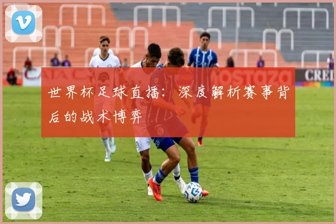 世界杯足球直播：深度解析赛事背后的战术博弈