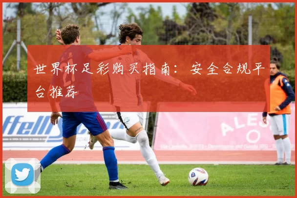 世界杯足彩购买指南：安全合规平台推荐