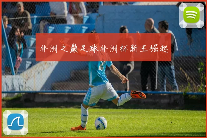 非洲之巅足球非洲杯新王崛起