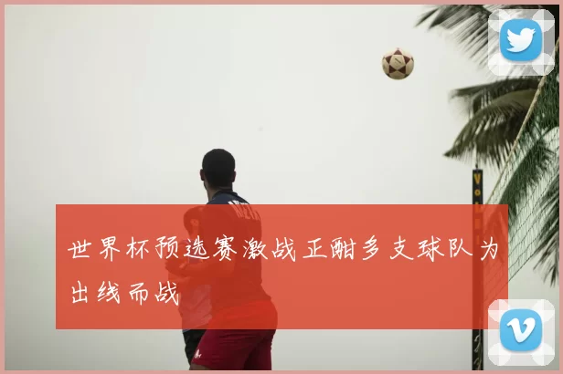 世界杯预选赛激战正酣多支球队为出线而战