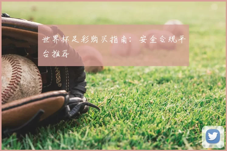 世界杯足彩购买指南：安全合规平台推荐