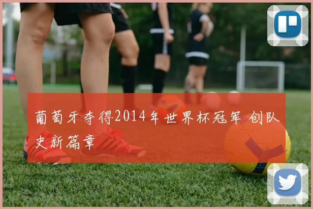 葡萄牙夺得2014年世界杯冠军 创队史新篇章
