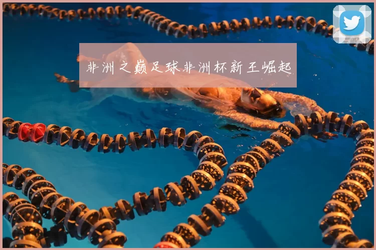 非洲之巅足球非洲杯新王崛起