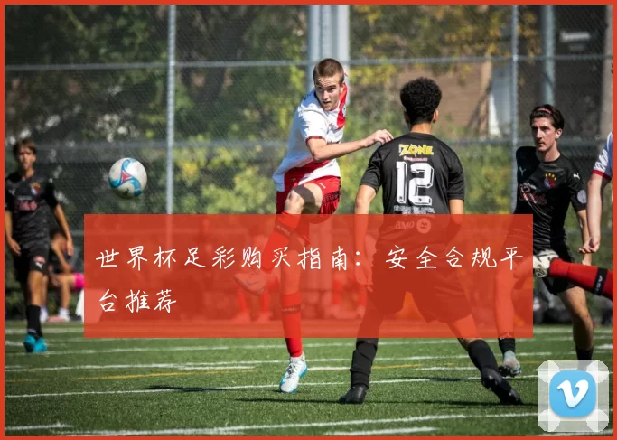 世界杯足彩购买指南:安全合规平台推荐