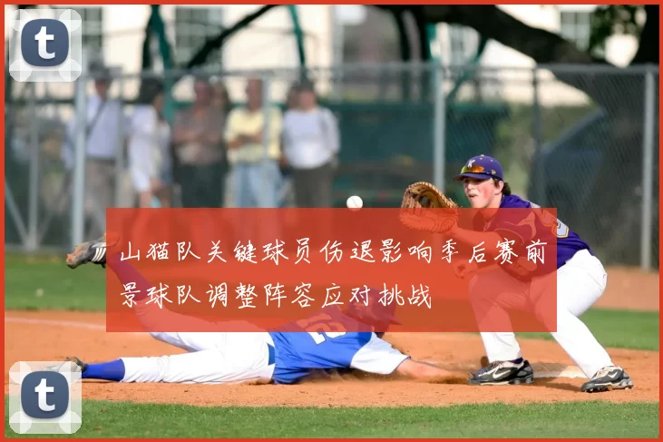 山猫队关键球员伤退影响季后赛前景球队调整阵容应对挑战
