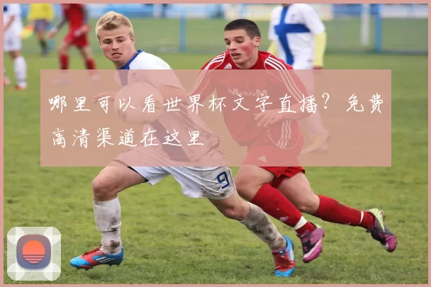 哪里可以看世界杯文字直播?免费高清渠道在这里