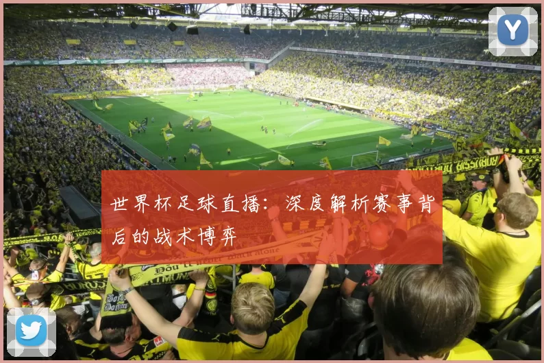 世界杯足球直播：深度解析赛事背后的战术博弈