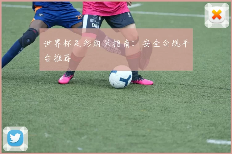 世界杯足彩购买指南：安全合规平台推荐