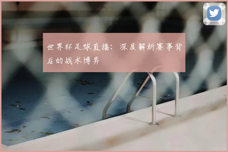 世界杯足球直播：深度解析赛事背后的战术博弈