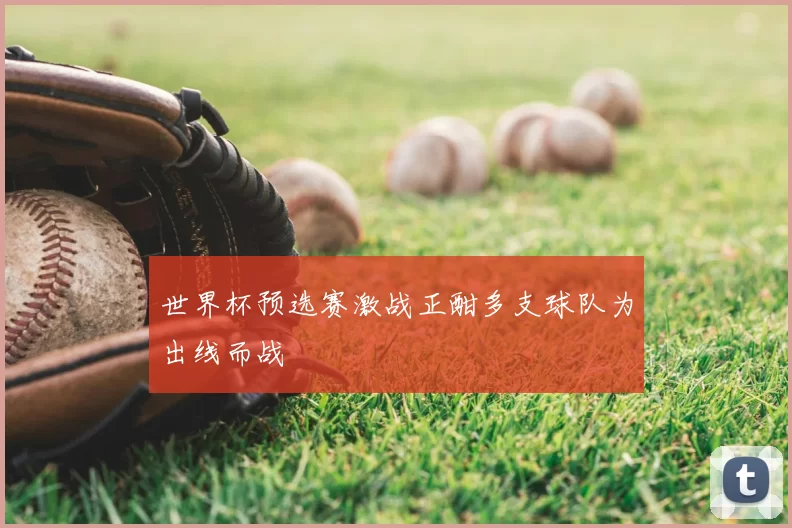 世界杯预选赛激战正酣多支球队为出线而战