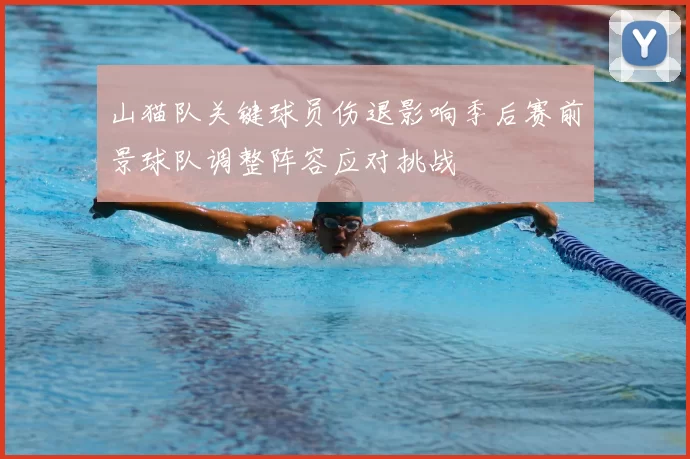 山猫队关键球员伤退影响季后赛前景球队调整阵容应对挑战