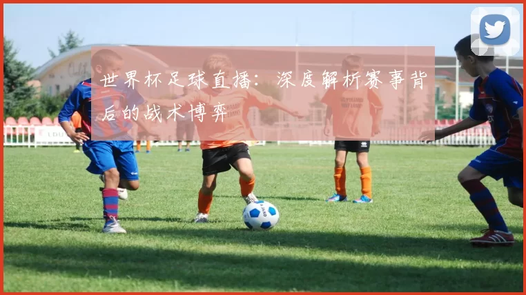 世界杯足球直播：深度解析赛事背后的战术博弈